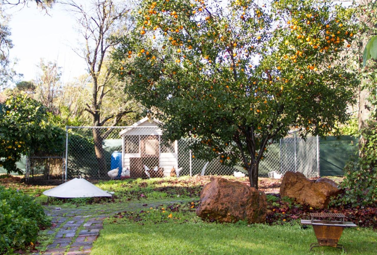 Farview Guest Accommodation Pickering Brook 외부 사진